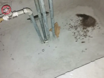 楚雄卫生间测漏水价格明细