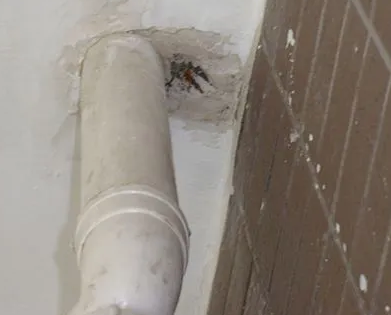 楚雄漏水检测哪家好